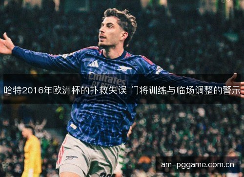 哈特2016年欧洲杯的扑救失误 门将训练与临场调整的警示